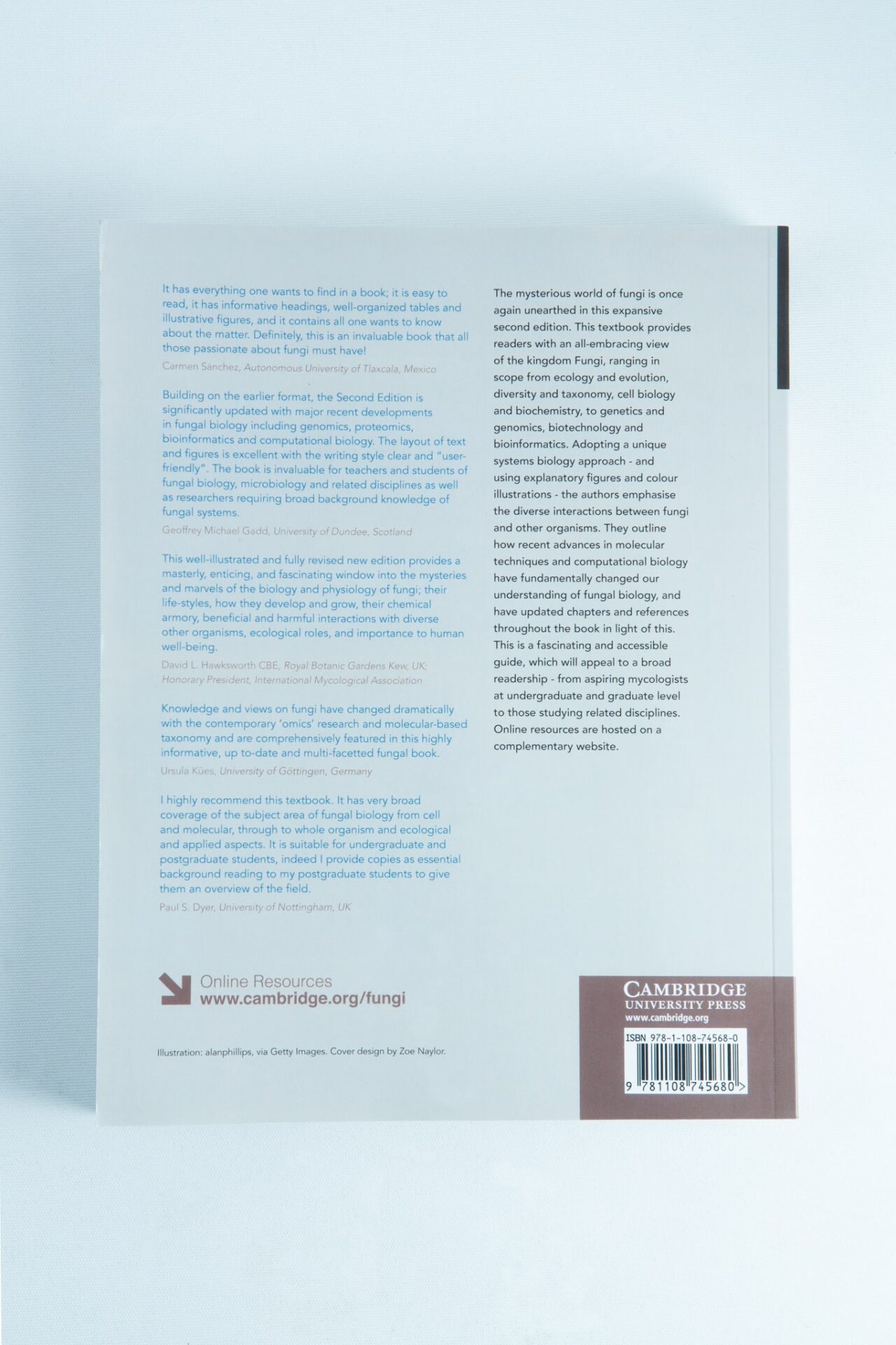 21st Century Guide to Fungi: Book by David Moore ft, others 2 Back cover of "21st Century Guide to Fungi: Book by David Moore ft, others" with descriptive text, barcode, and publisher info—an essential comprehensive field guide and practical mushroom resource for Australia.