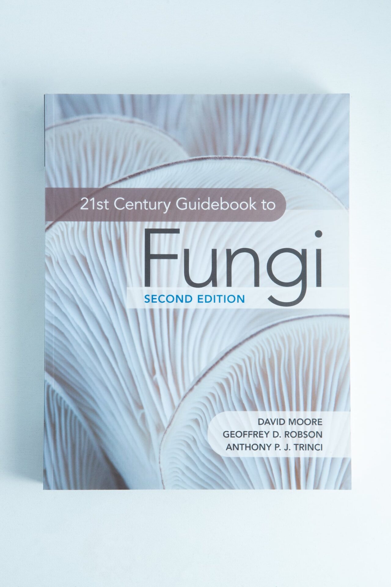 21st Century Guide to Fungi: Book by David Moore ft, others 1 Book cover of 21st Century Guide to Fungi: Book by David Moore ft, others with close-up of mushroom gills—a great addition to any mushroom guide or Australian mushrooms book collection.