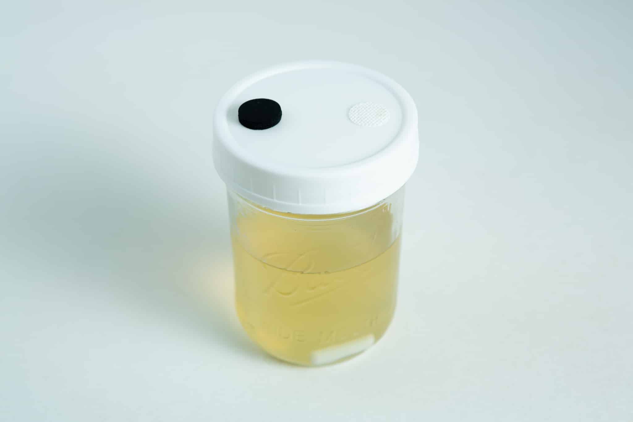 Uncolonized Liquid Culture Jar with nutrient, magnetic stirrer -Pickup only 3 The Uncolonised Liquid Culture Jar with nutrient and magnetic stirrer (collection only) features a clear container of yellow liquid, white lid, and black-and-white circular stickers—perfect for storing uncolonised cultures with stirring capability.