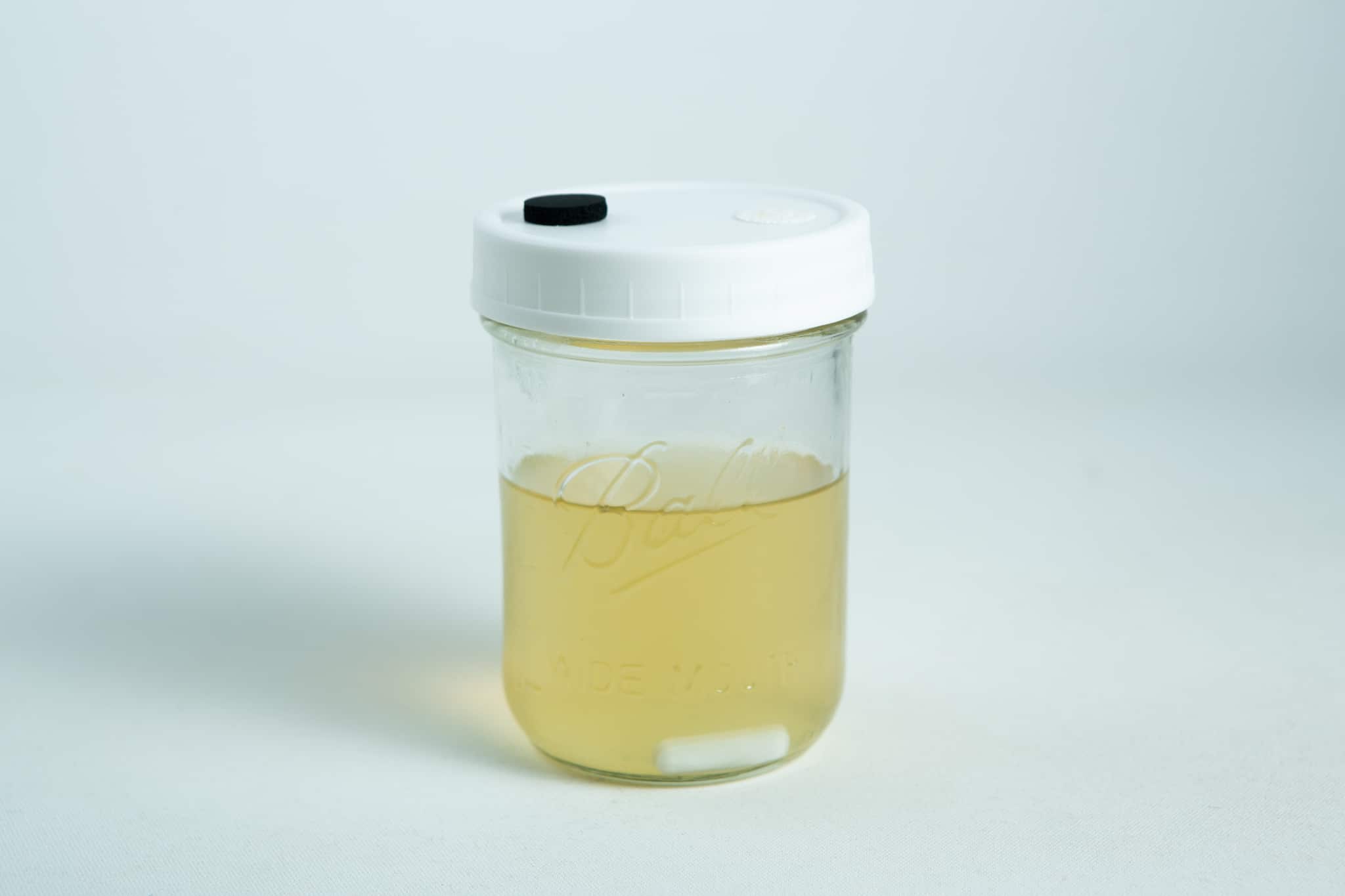 Uncolonized Liquid Culture Jar with nutrient, magnetic stirrer -Pickup only 4 The Uncolonised Liquid Culture Jar with nutrient and magnetic stirrer features a white lid and yellowish liquid, shown on a white background. Available for collection only.