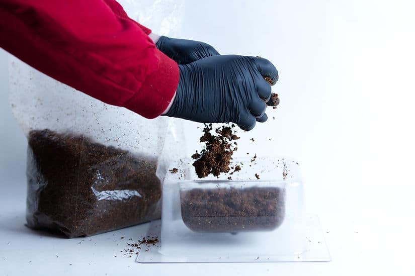 Mycelium Mold Growth Form - Plant pot Heavy Duty (Reusable) 4 A person in black gloves adds soil to a clear container, with a soil bag nearby—showing how to use the Mycelium Mould Growth Form - Plant Pot Heavy Duty (Reusable) for optimal results.