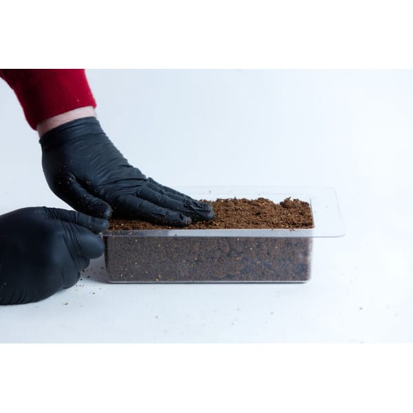 Hands in black gloves press soil into the Mycelium Mould Growth form - Brick (Reusable), shown in a clear plastic container against a white background.