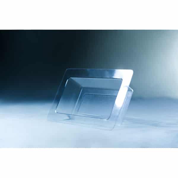 A Mycelium Mould Growth form -Brick (Reusable) stands upright on a smooth, misty surface, its organic curves reflected in the transparent plastic food container lid beside it.