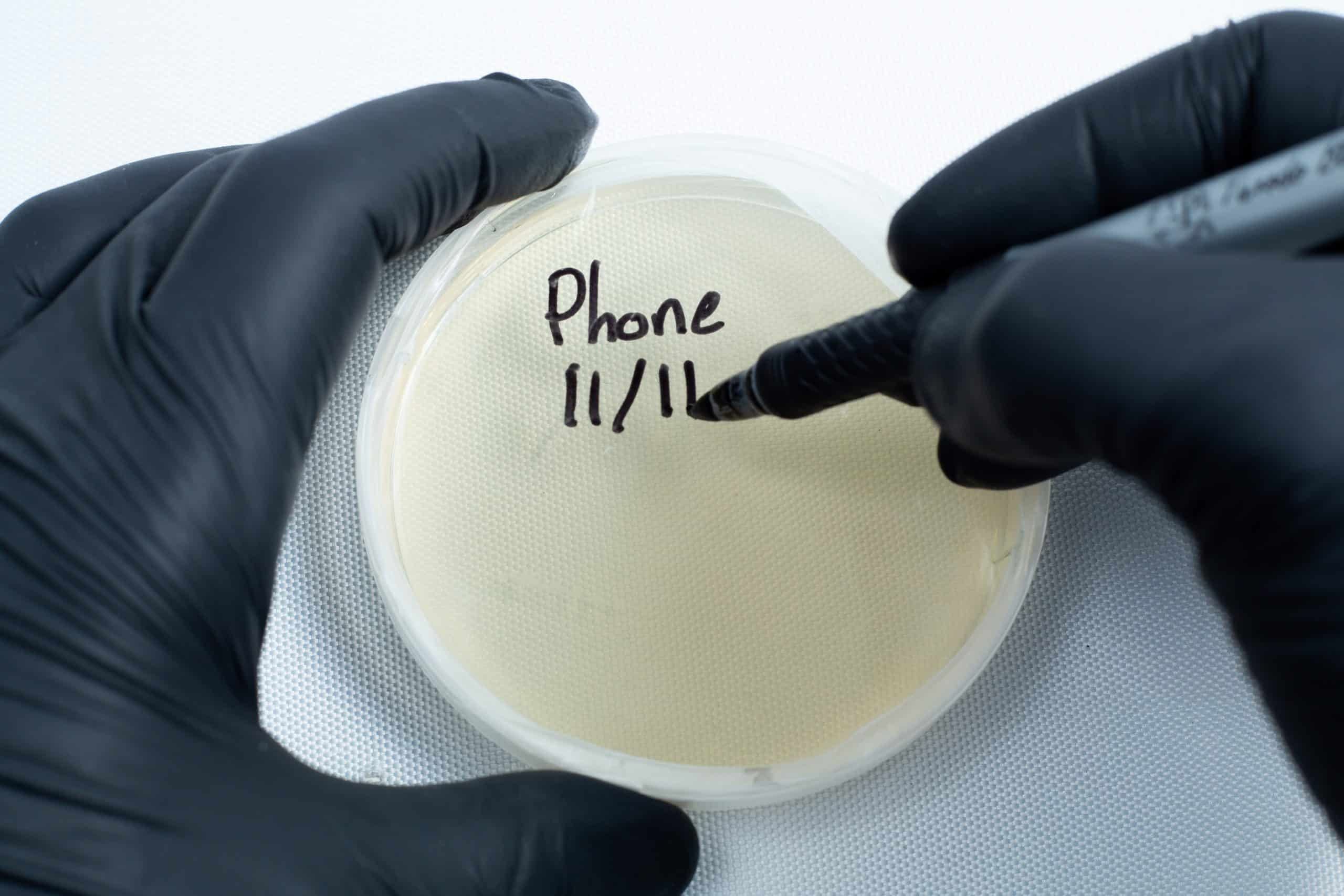 Agar petri dish MEA School Science Fun Project Kit 9 Gloved hands label an agar Petri dish MEA School Science Fun Project Kit with a black marker on a white background, perfect for school science fun projects.