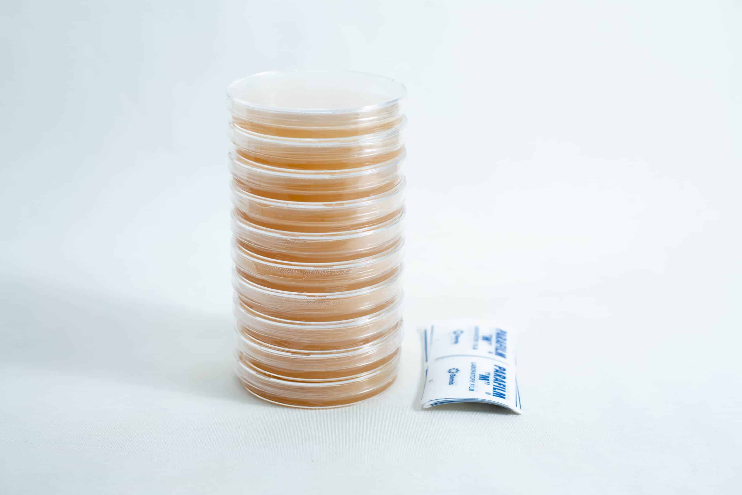 Pre poured MEAG Agar Plates (Antibacterial) 90mm 4 A stack of pre-poured MEAG agar plates (antibacterial) 90mm is placed next to two small packets on a white background.