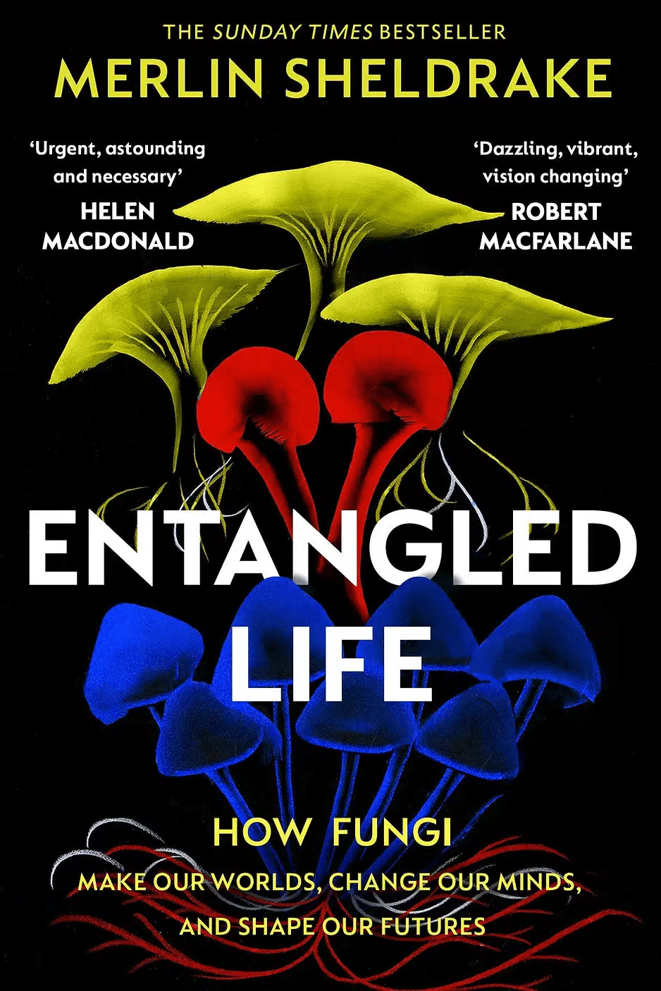 Entangled Life by Merlin Sheldrake 1 The cover of Entangled Life by Merlin Sheldrake features vibrant fungi illustrations on a black background—an eye-catching pick for those interested in mushroom-themed books.