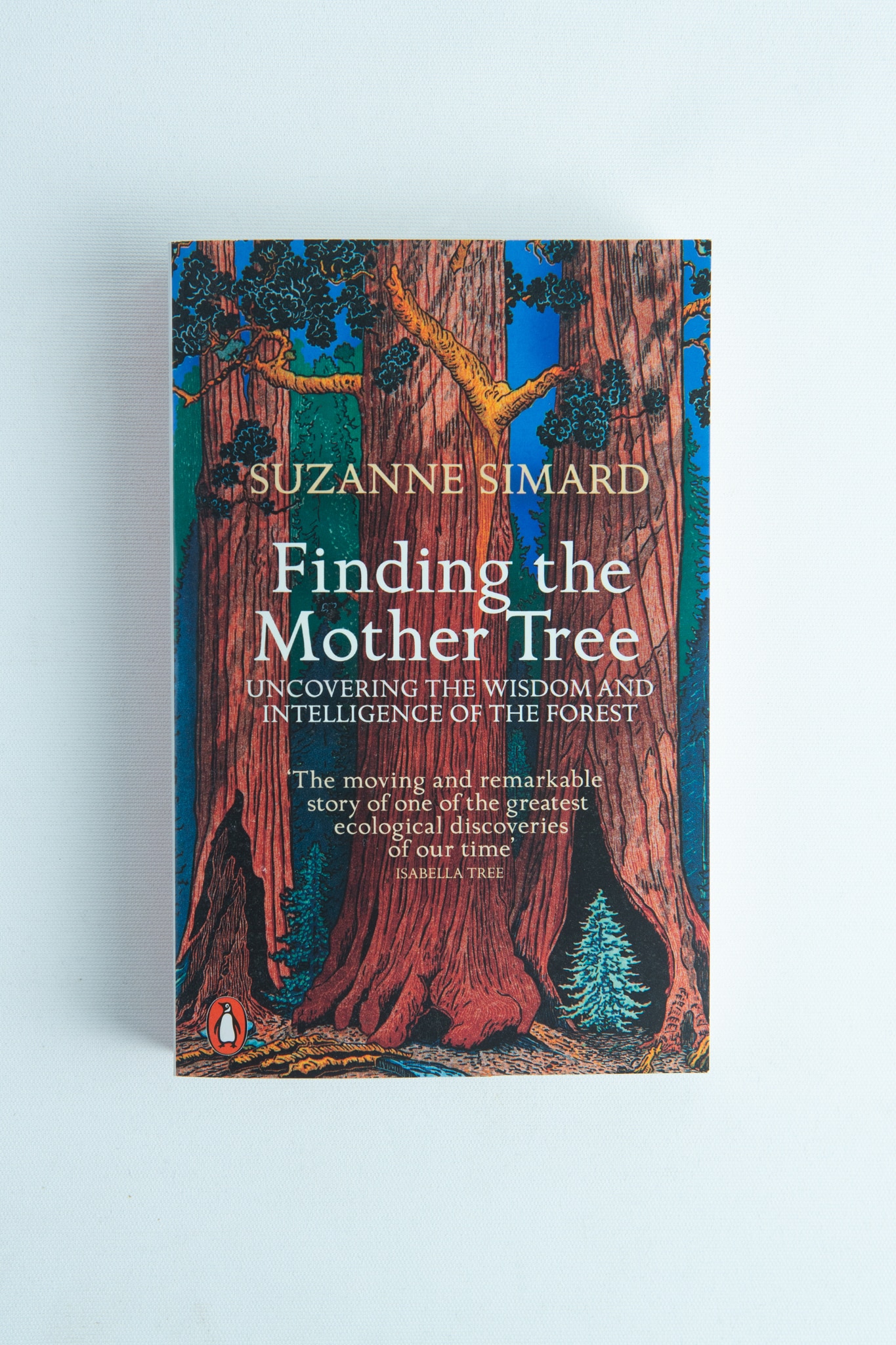 Finding the Mother Tree by Suzanne Simard 1 Book cover of Finding the Mother Tree by Suzanne Simard, with tall illustrated trees on a blue background—a perfect pick for fans of forest ecology and nature books.
