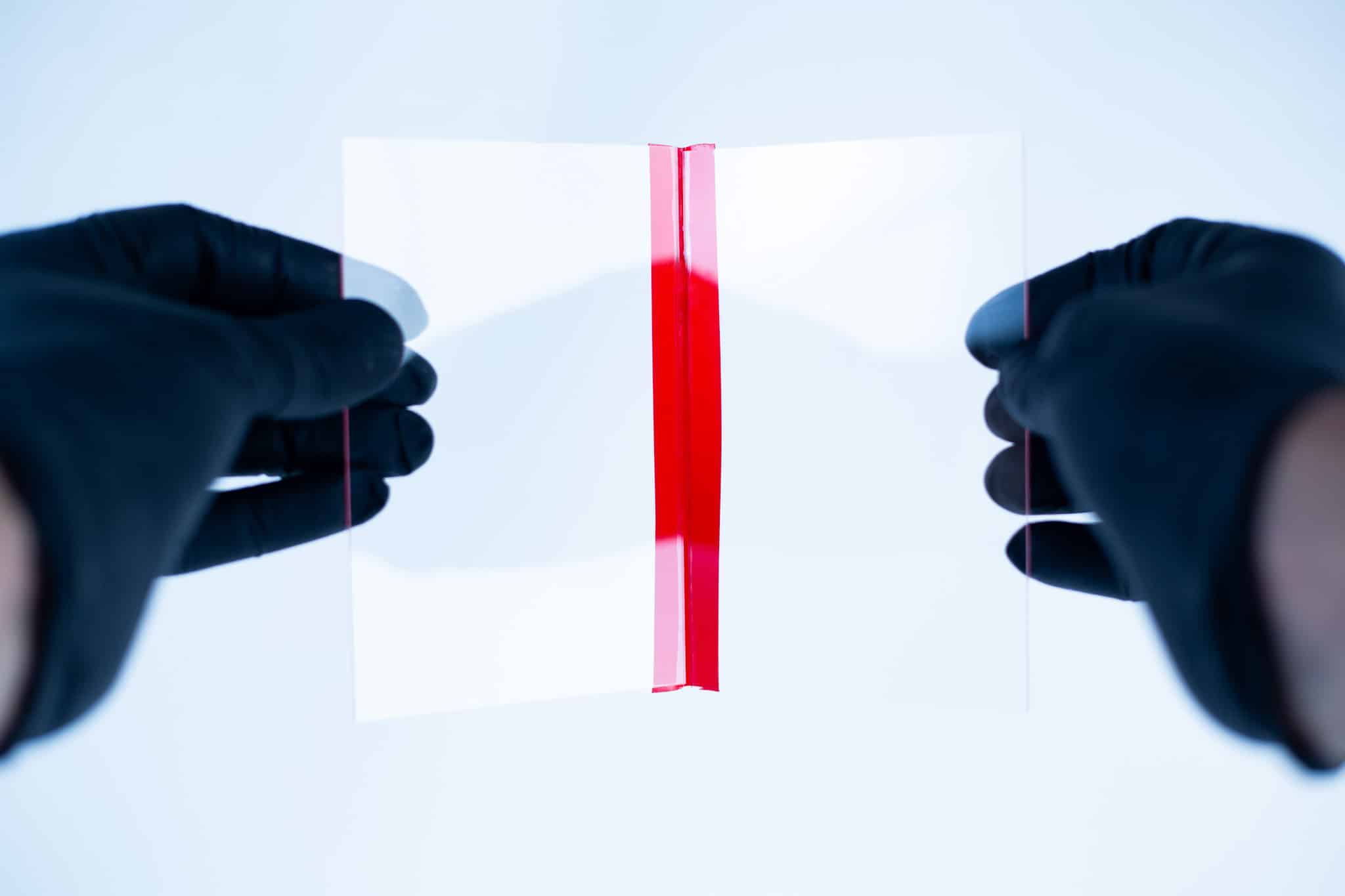 Glass Spore Print Slides booklet 12.8cm X 8.5cm x 1mm 2 Gloved hands hold a Glass Spore Print Slides booklet (12.8cm x 8.5cm x 1mm) with a red vertical stripe in the centre, designed to preserve spore prints, set against a white background.