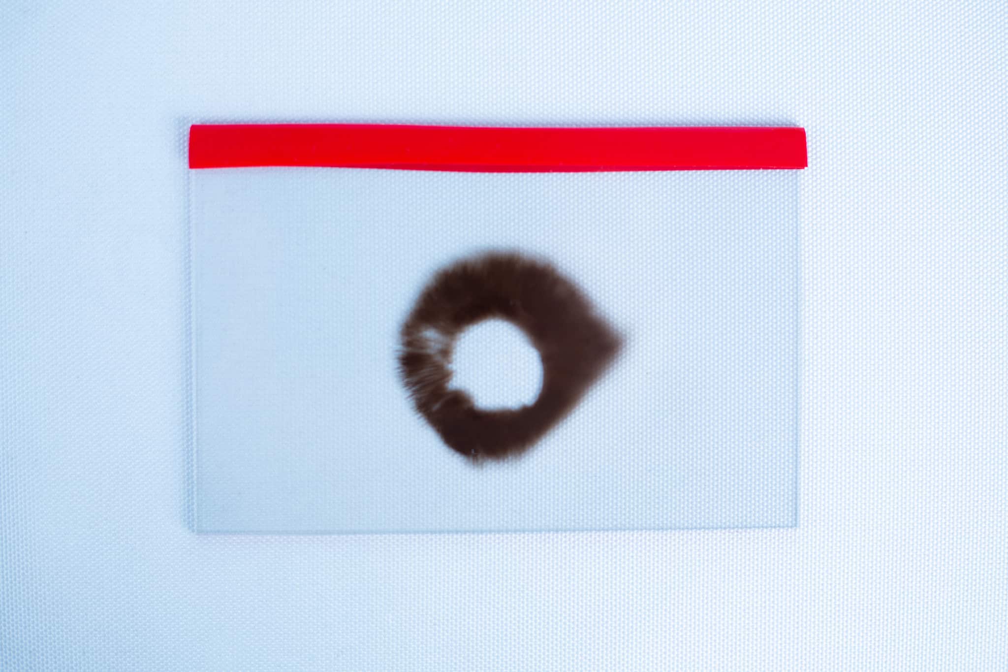 Glass Spore Print Slides booklet 12.8cm X 8.5cm x 1mm 6 A transparent ziplock bag with a red seal holds a Glass Spore Print Slides booklet (12.8cm x 8.5cm x 1mm)—ideal for safely storing and preserving your spore prints—displayed on a clean white background.