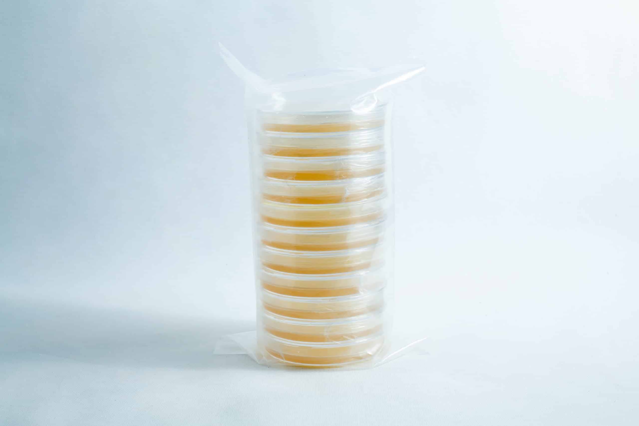 Pre-poured MEA plates petri dish 90 mm 4 A stack of pre-poured MEA plates petri dish 90 mm, filled with yellow agar and wrapped in clear plastic, displayed on a white background.