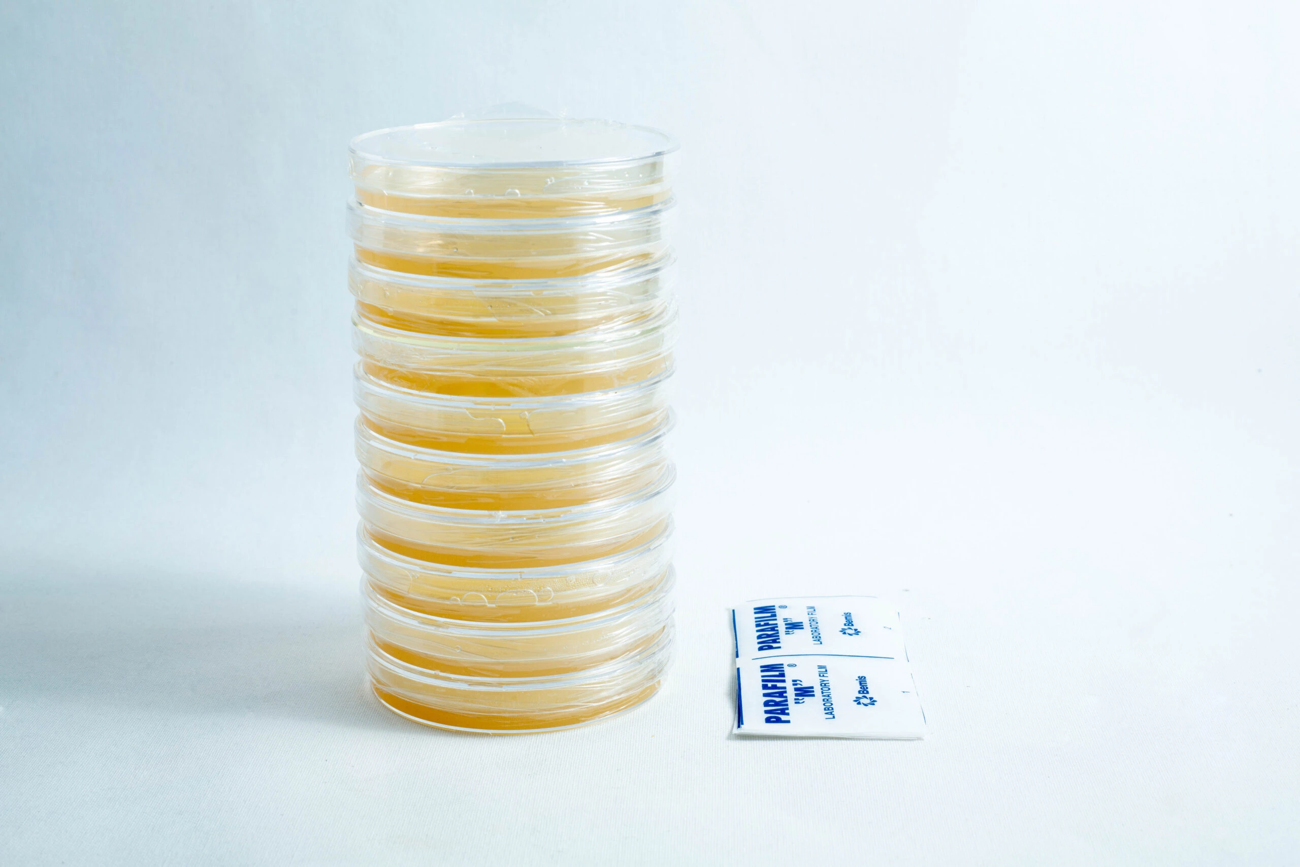Swab and Grow Bacteria Growth Science Experiment 4 MEA Agar Plates Pre poured 90mm outside sleeve with parafilm