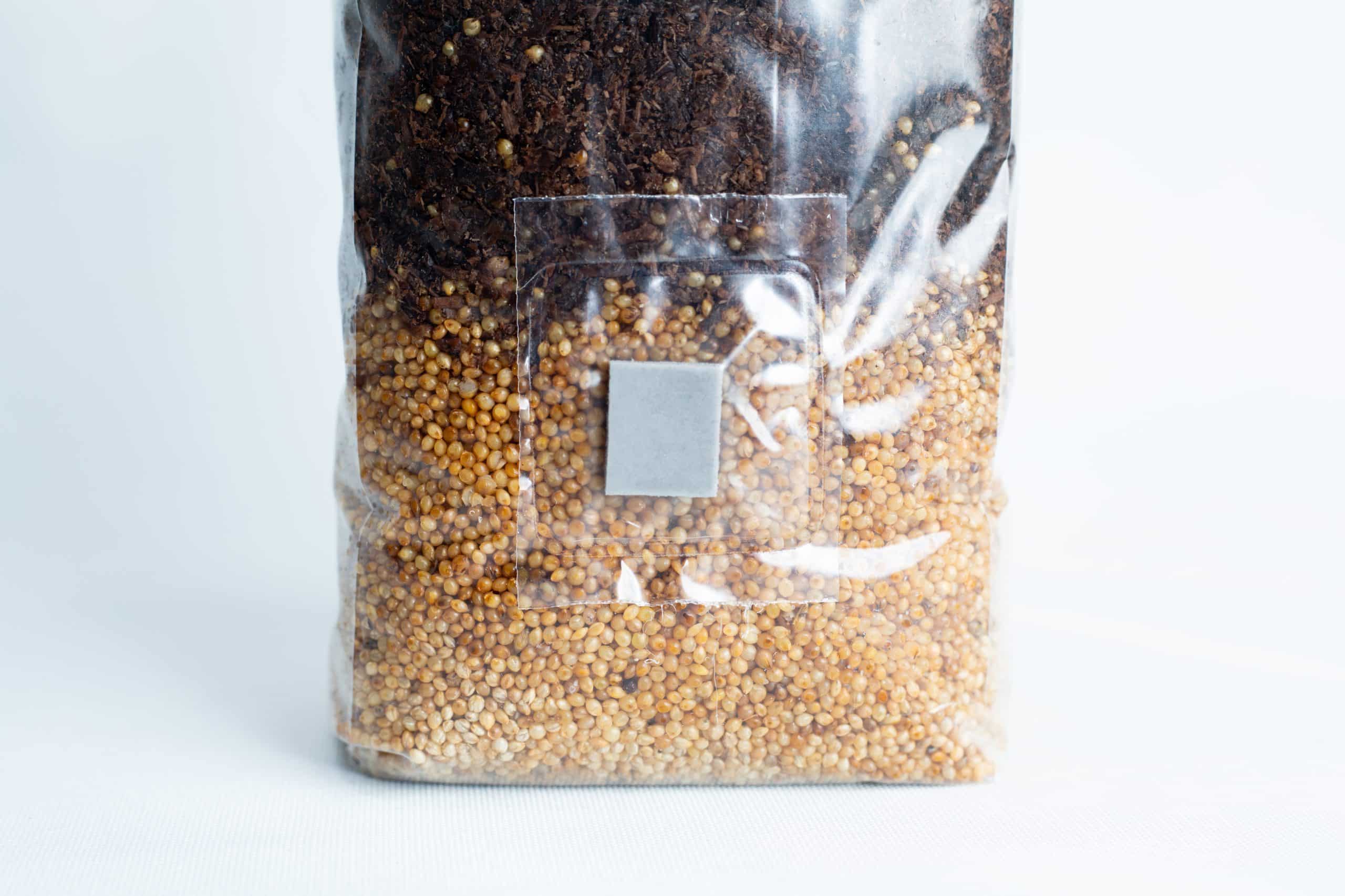 Black King Oyster Mushroom Grow Kit 6 Masters Mix + Millet All-in-one Mushroom 1kg Bag: clear plastic bag with dark Masters Mix substrate on top, yellow millet seeds at the bottom, and a small square patch in the centre.