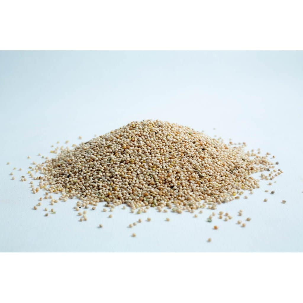 A small pile of raw amaranth seeds scattered on a white surface.