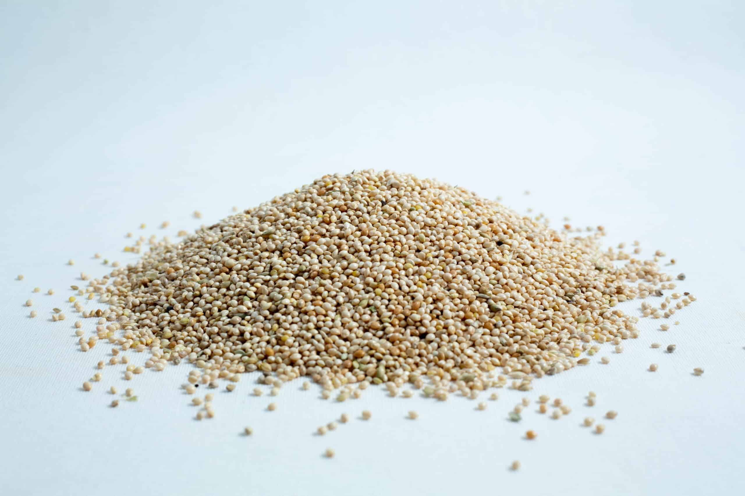 Millet pre sterilized mushroom grains w/inj port and digital instructions 6 A small pile of raw amaranth seeds scattered on a white surface.