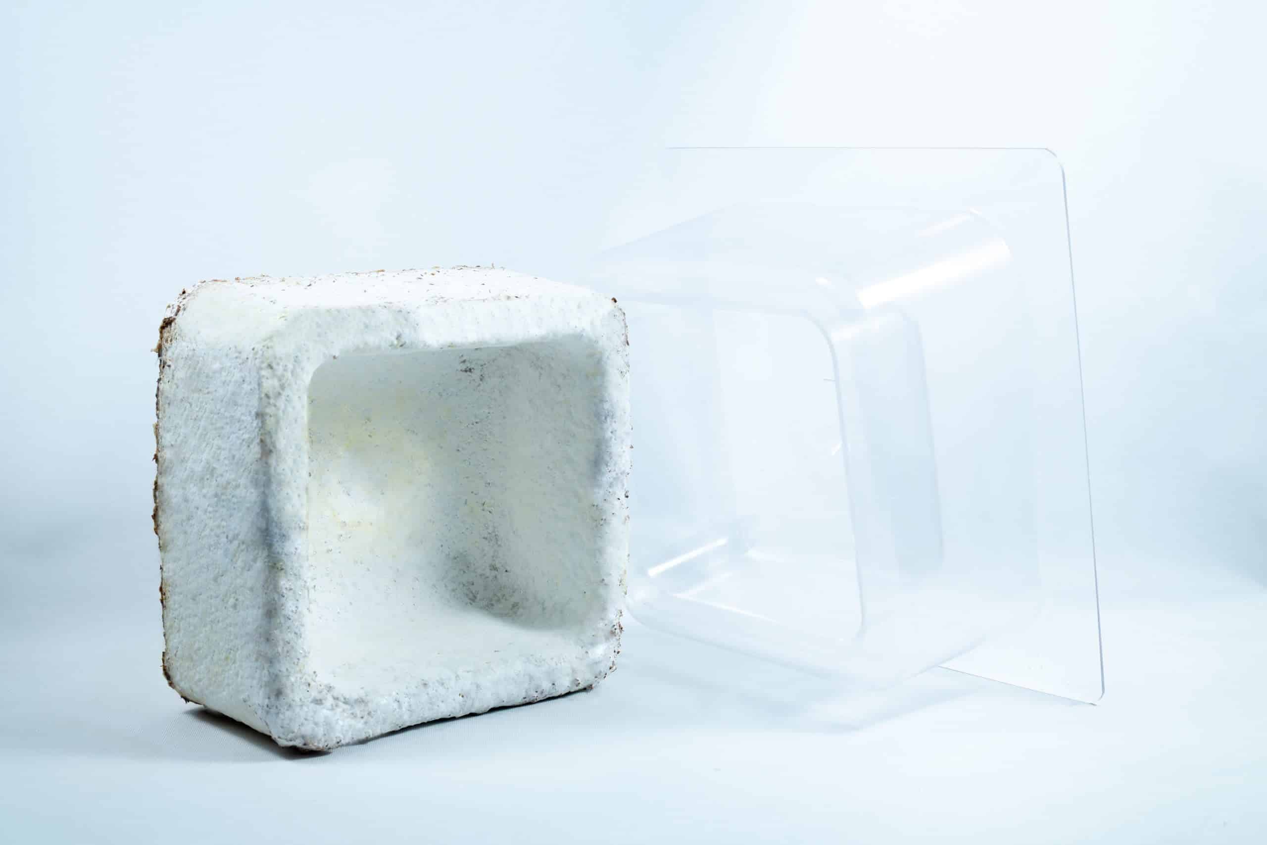 Mycelium Mold Growth Form - Plant pot Heavy Duty (Reusable) 10 A white, square, hollow packaging block is next to a clear plastic mould on a white background, showcasing the Mycelium Mould Growth Form - Plant pot Heavy Duty (Reusable).