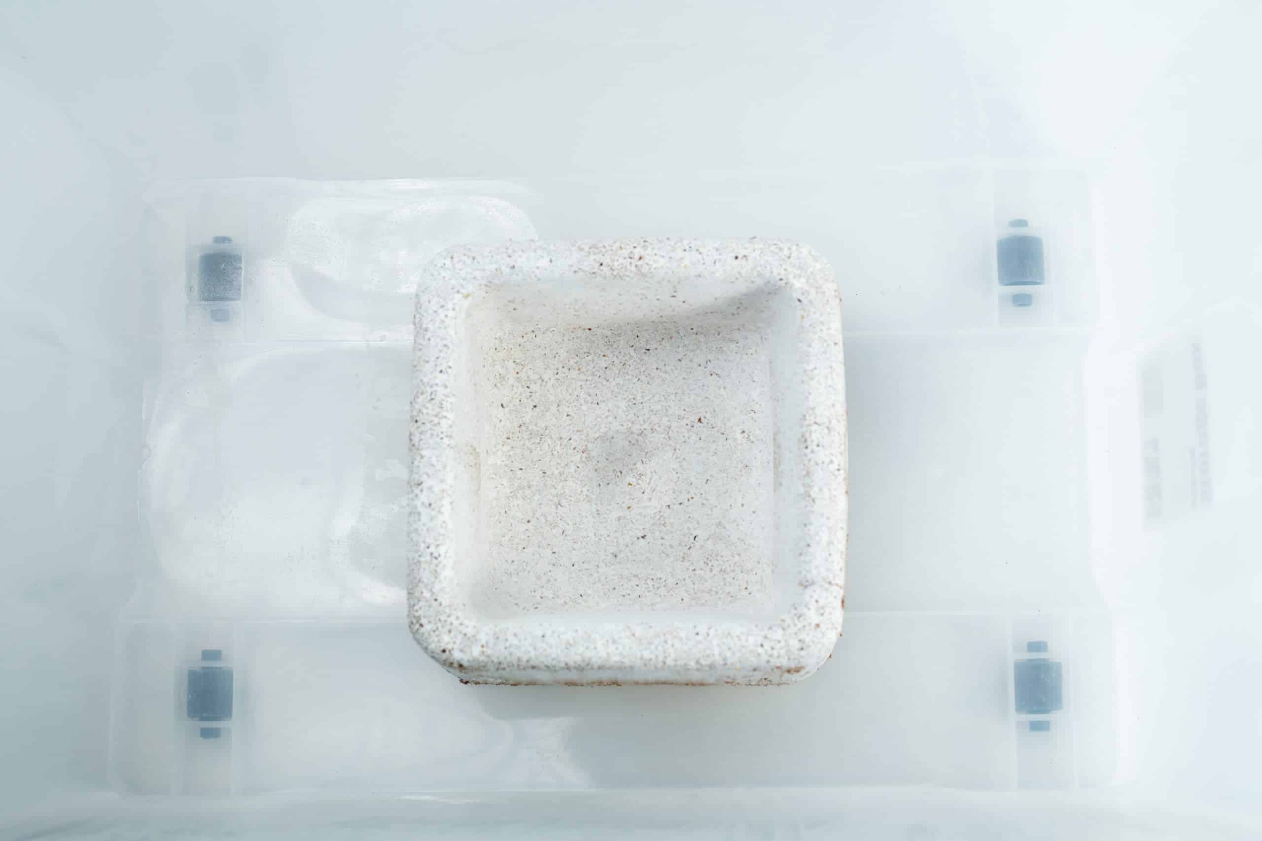 Mycelium Mold Growth Form - Plant pot Heavy Duty (Reusable) 9 The Mycelium Mould Growth Form - Plant Pot Heavy Duty (Reusable) features a white, square ceramic dish inside a translucent plastic container, designed to resemble a plant pot mould growth form.