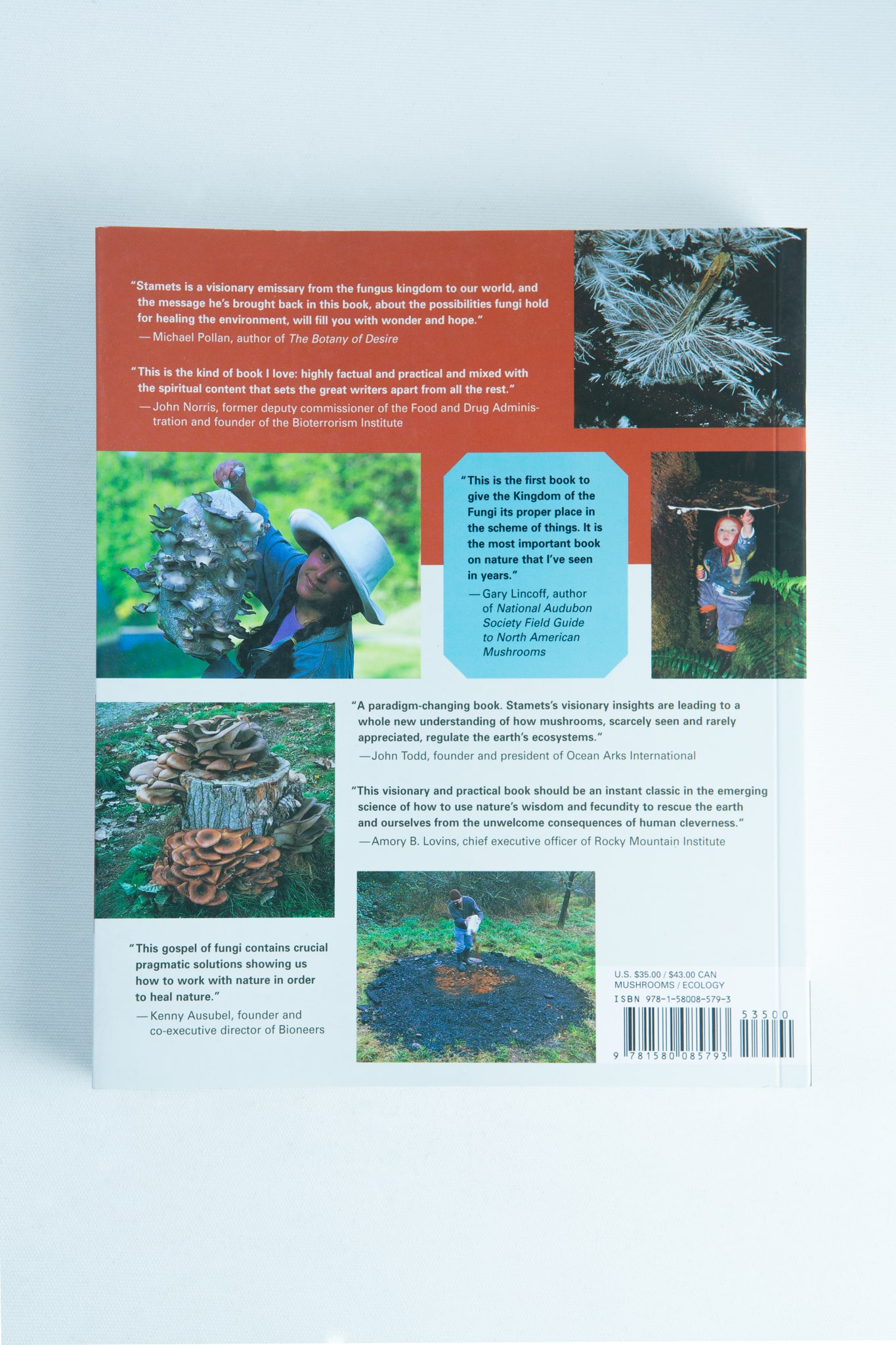Mycelium Running : How Mushrooms Can Help Save the World: Book by Paul Stamets 2 Back cover of Mycelium Running: How Mushrooms Can Help Save the World by Paul Stamets, with mushroom and foraging images plus review blurbs—ideal for mycology enthusiasts and admirers of Paul Stamets’ work.