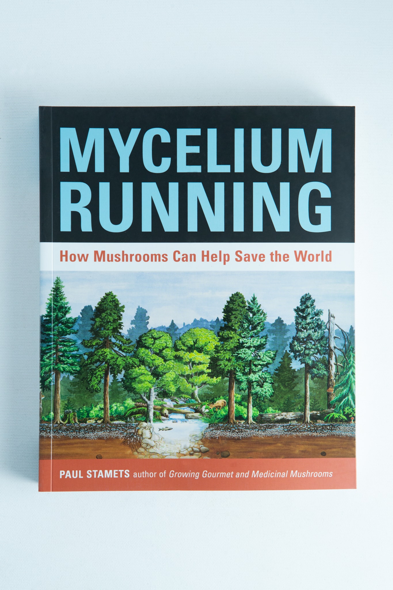 Mycelium Running : How Mushrooms Can Help Save the World: Book by Paul Stamets 1 The cover of "Mycelium Running: How Mushrooms Can Help Save the World" by Paul Stamets features a forest and mushrooms—an essential mycology book for enthusiasts.