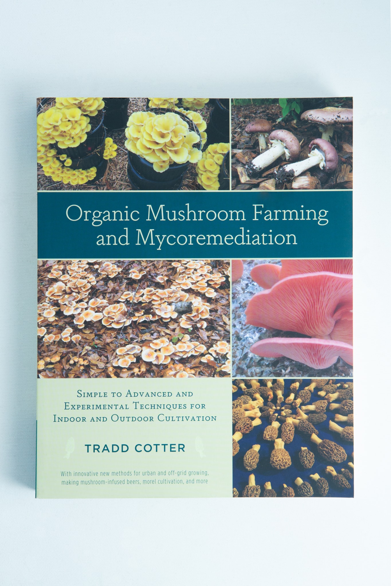 Organic Mushroom Farming and Mycoremediation:Book by Tradd Cotter 1 Book cover for "Organic Mushroom Farming and Mycoremediation: Book by Tradd Cotter," a top mycology book with mushroom photos and expert insights on mycoremediation.