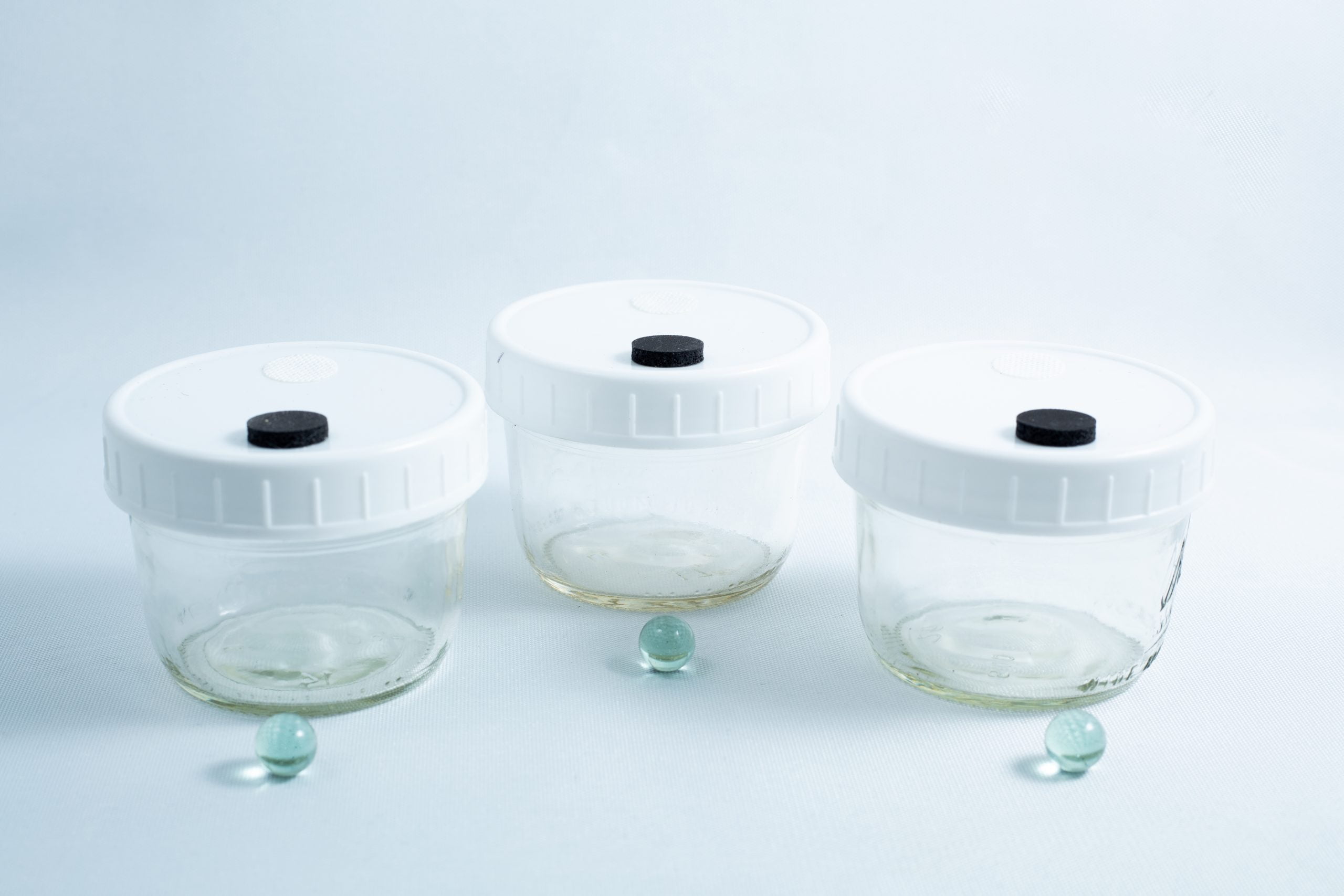 Mason jars with injection port and air vent 3x240ml 1 Three empty Mycology Ball Mason jars (1L, genuine, autoclavable) with injection port and air vent, each with a white lid and placed in front of a small green marble, arranged on a white background.