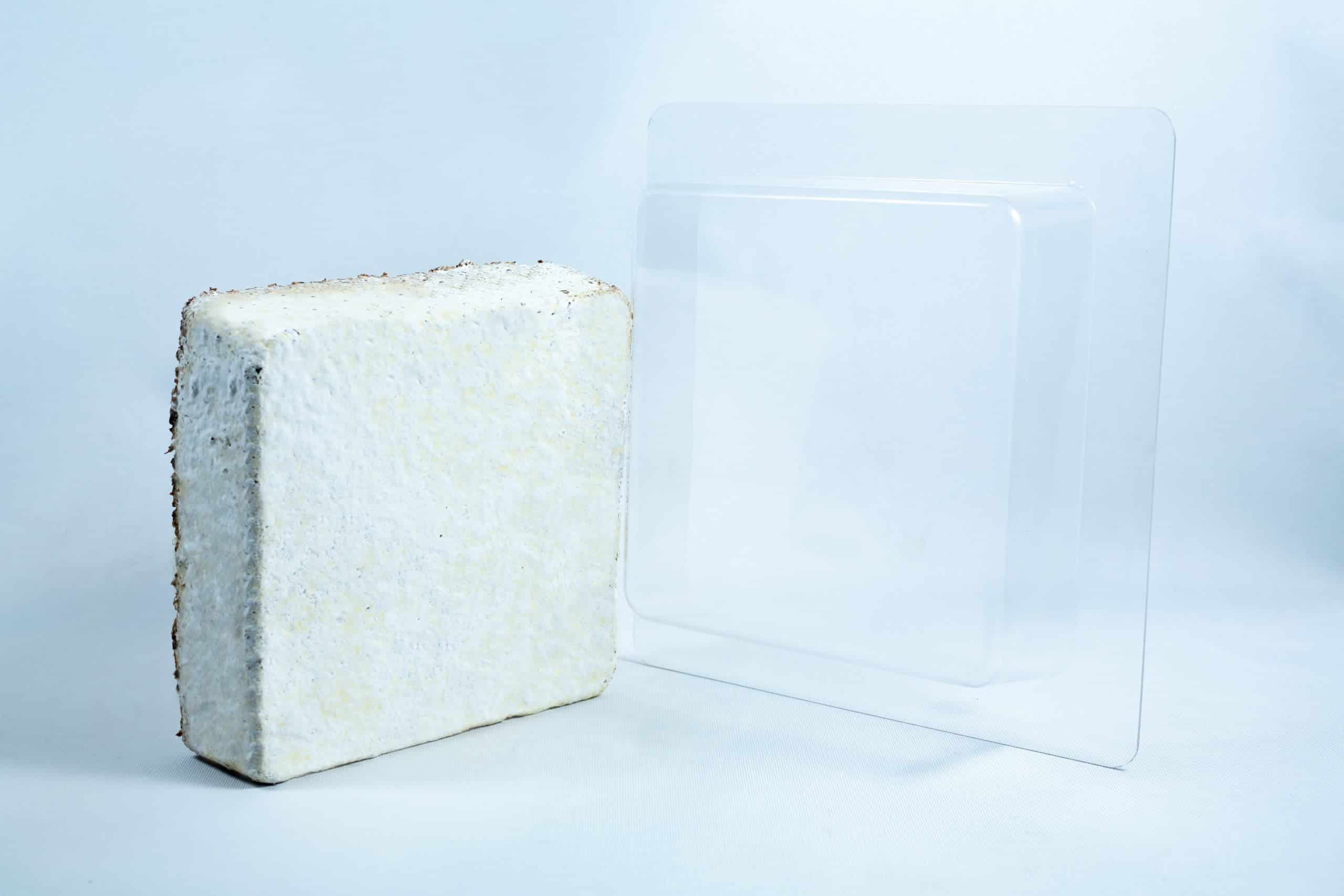 Mycelium Mold Growth form - Paver (Reusable) 10 A square, white, textured Mycelium Mould Growth Form - Plant Pot Heavy Duty (Reusable) stands beside a clear plastic tray on a plain white background.