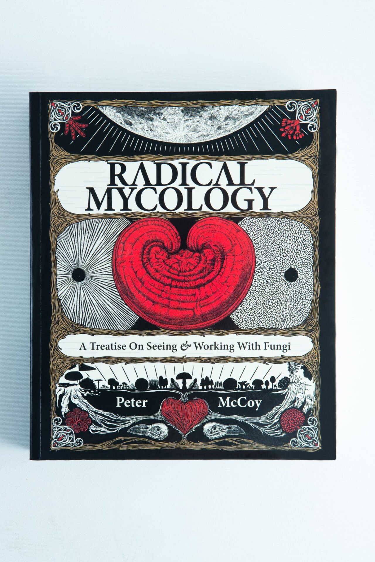 Radical Mycology by Peter McCoy 1 Book cover for Radical Mycology by Peter McCoy, featuring a bold red mushroom and unique black-and-white fungi artwork inspired by the radical mycology movement.