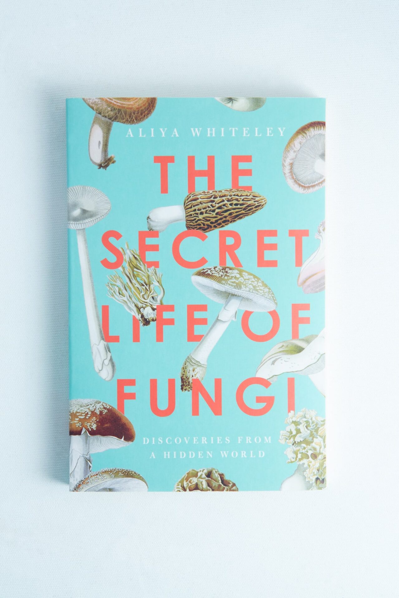 The secret life of Fungi: Book by Aliya Whiteley 1 The book cover of The Secret Life of Fungi by Aliya Whiteley features delightful mushroom illustrations on a light blue background, making it a notable choice among mycology books.