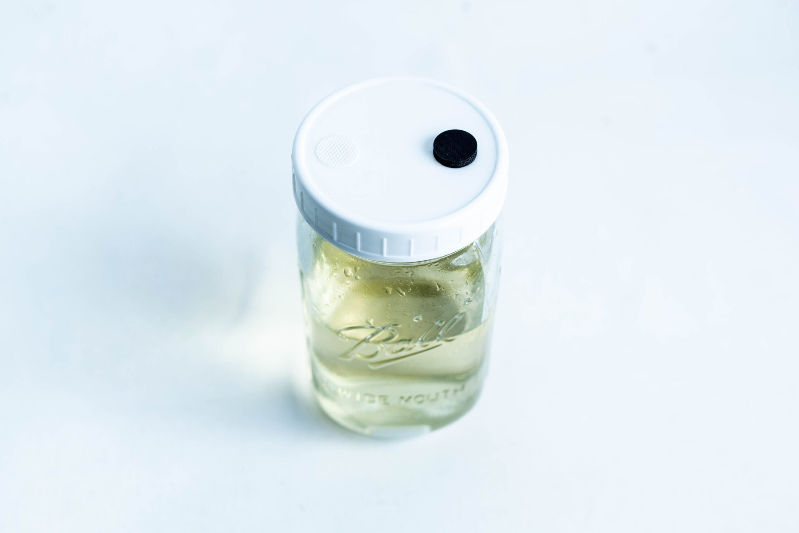 Uncolonized Liquid Culture Jar with nutrient, magnetic stirrer -Pickup only 2 Uncolonised Liquid Culture Jar with nutrient and magnetic stirrer—features clear liquid inside a Kilner jar with white lid and black circle on top. Ideal for culturing; collection only.
