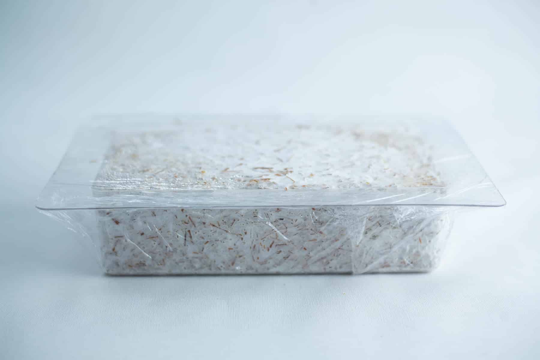 Mycelium Mold Growth form -Brick (Reusable) 12 Rectangular container of white shredded material covered with clear plastic film against a plain background.