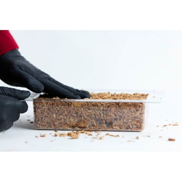 Gloved hands pressing wood chips into a clear rectangular container on a white surface.
