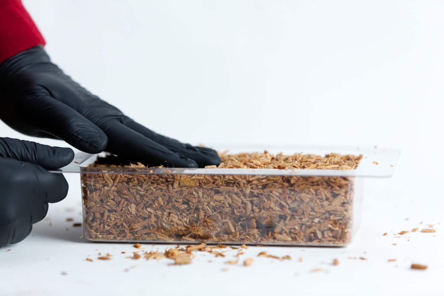Mycelium Mold Growth form -Brick (Reusable) 10 Gloved hands pressing wood chips into a clear rectangular container on a white surface.