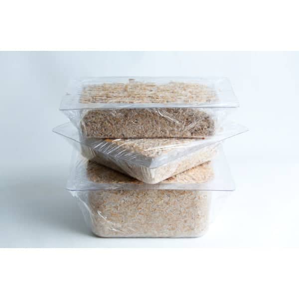 Three clear plastic containers stacked, each filled with a substrate and covered with cling film.