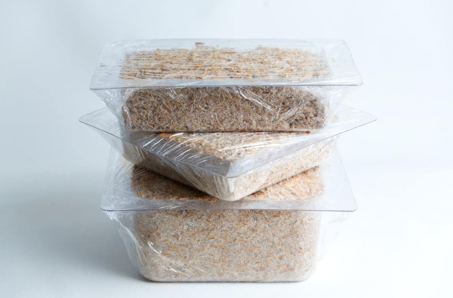 Hemp Substrate or Sawdust Substrate | Mycelium Growth Medium 7 Three clear plastic containers stacked, each filled with a substrate and covered with cling film.