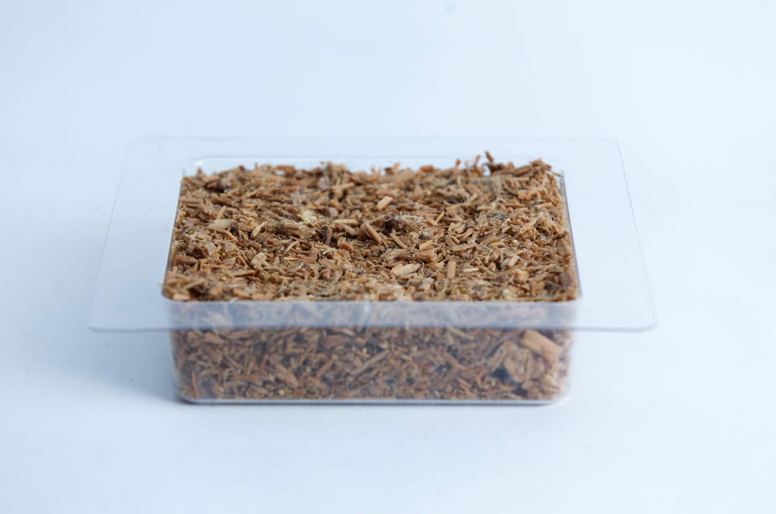 Hemp Substrate or Sawdust Substrate | Mycelium Growth Medium 6 A clear plastic container filled with brown wood chips on a white background.