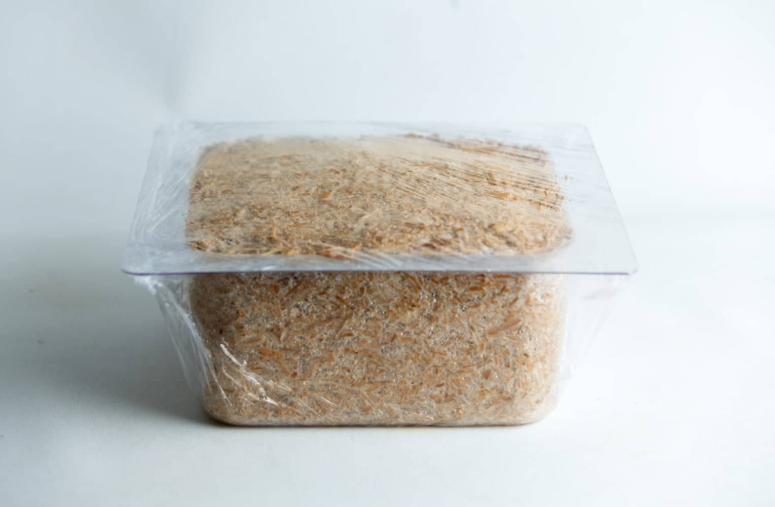 Mycelium Mold Growth Form - Plant pot Heavy Duty (Reusable) 6 A clear plastic container filled with grated cheese, covered with cling film, on a white background.