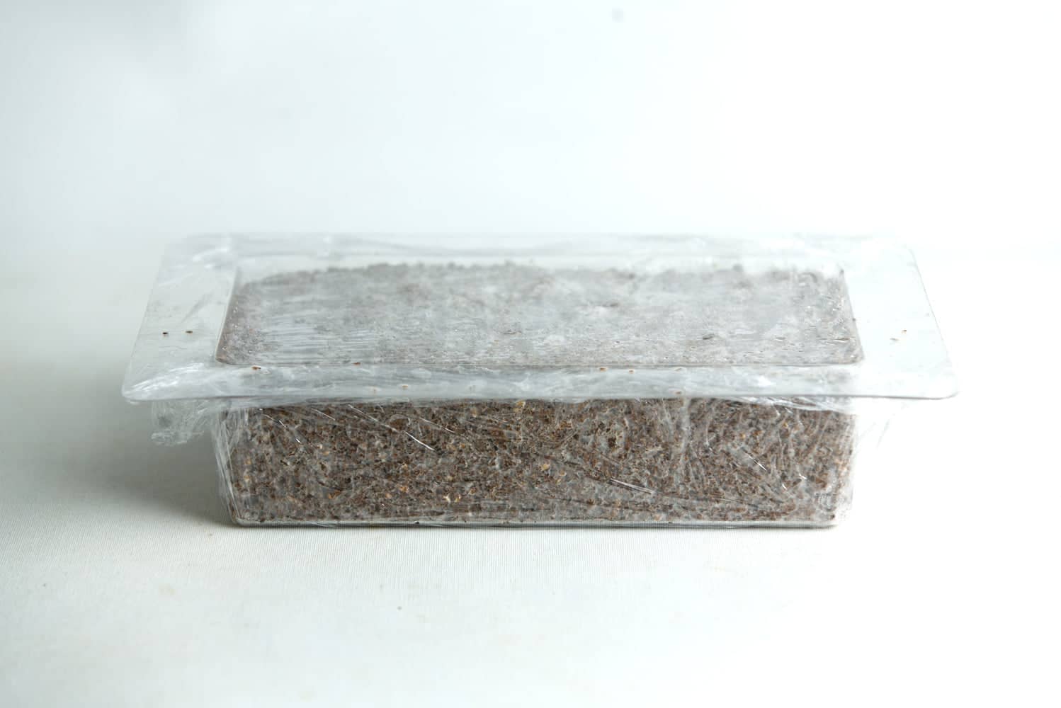 Mycelium Mold Growth form -Brick (Reusable) 8 A rectangular plastic container filled with soil, covered with clear cling film.