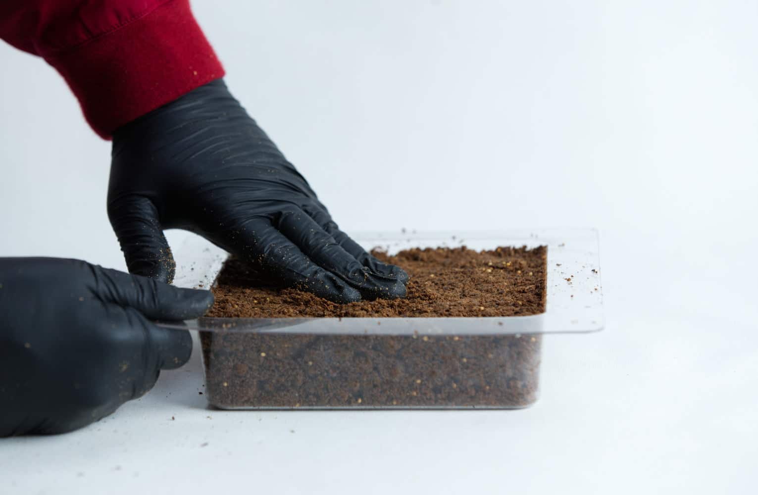 Mycelium Mold Growth form - Paver (Reusable) 5 Hands in black gloves pressing soil in a plastic container against a white background.