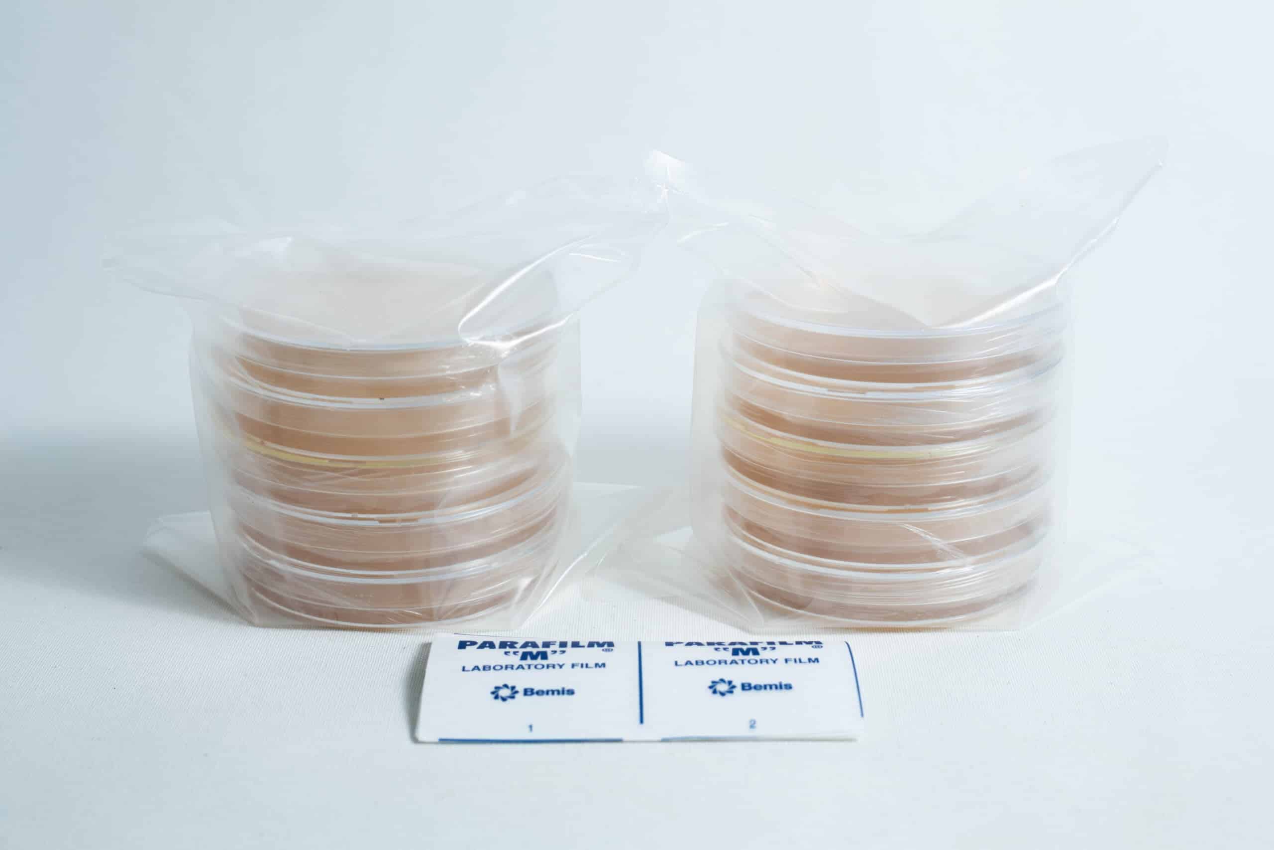 Spore to Agar Transfer Kit 6 Two stacks of 5 × Agar Plates (MEA) and 5 × Agar Plates (MEAG) pre-poured 90mm sit beside two packs of laboratory Parafilm on a white background.