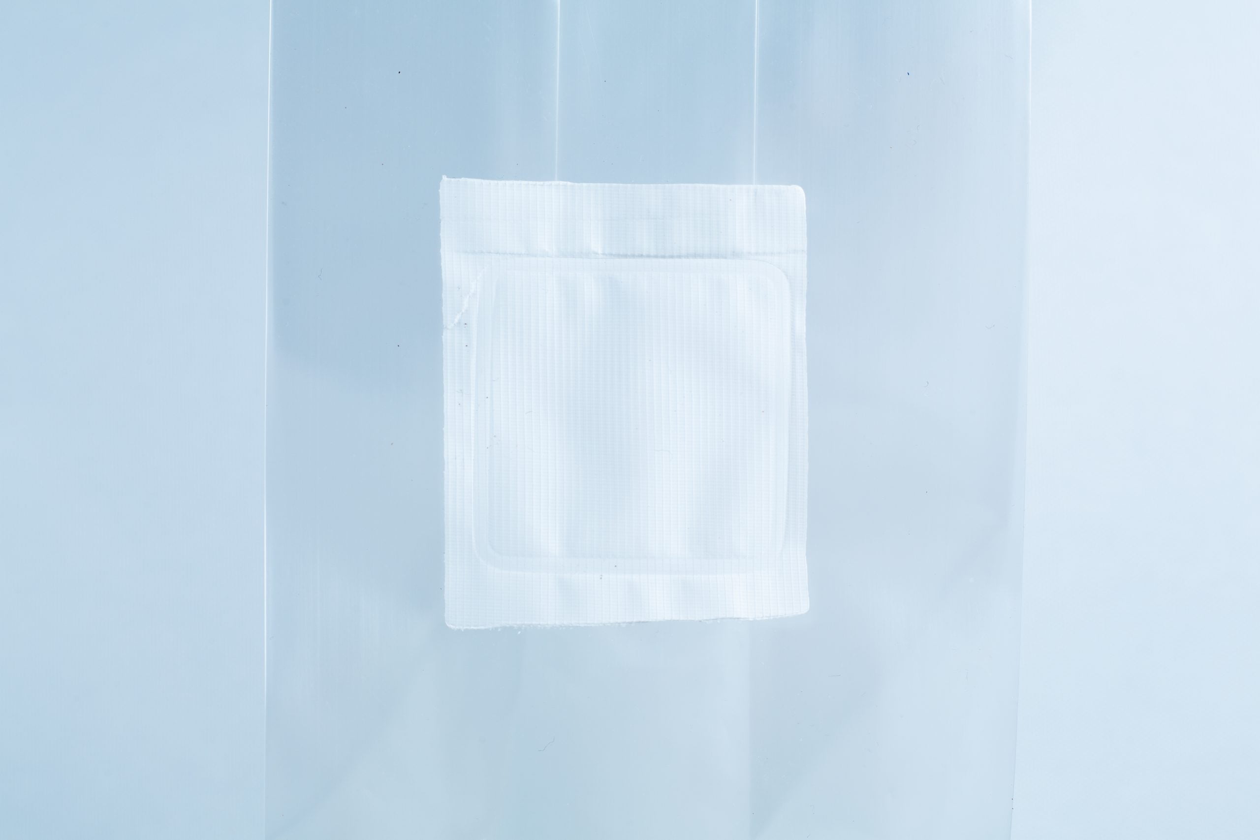 Millet pre sterilized mushroom grains w/inj port and digital instructions 10 A white square patch on a clear plastic bag with a light blue background, perfect for storing millet pre-sterilised mushroom grains with injection port and digital instructions.