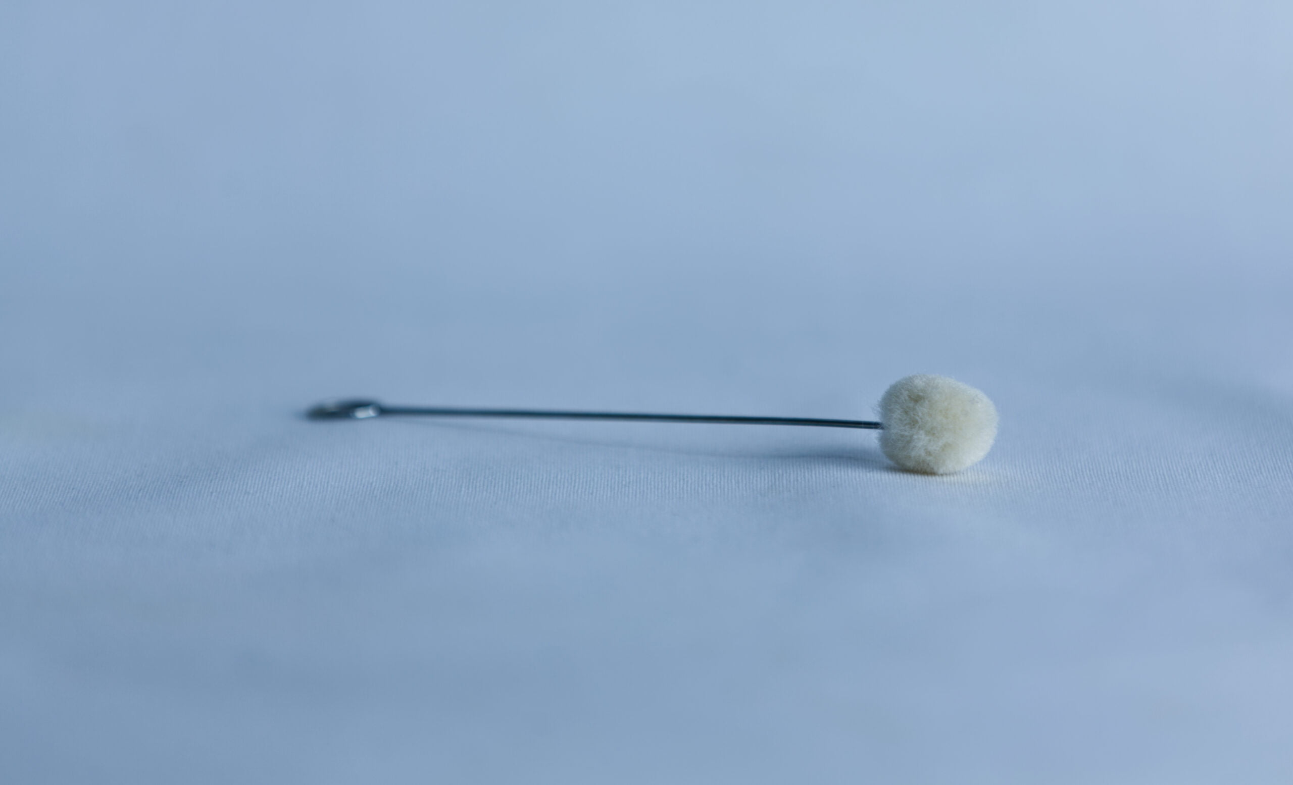 Wax Dauber for mushroom logs X 10 3 A single metal stick with a cotton bud lies on a smooth, light blue surface.