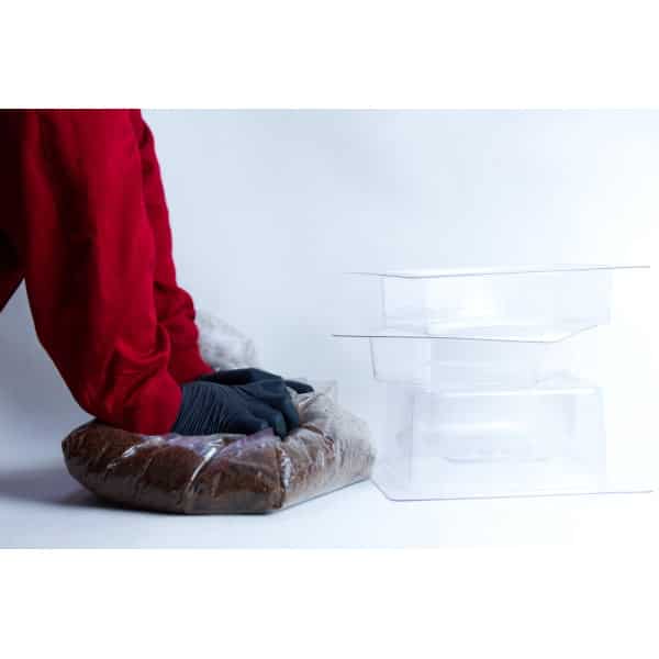 Person in red shirt and black gloves pressing on a plastic bag of substrate beside three clear plastic containers.