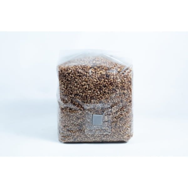 A clear plastic bag containing rye grain organic pre-sterilised for mushroom cultivation with injection port and air filter, sealed and standing upright on a white background.