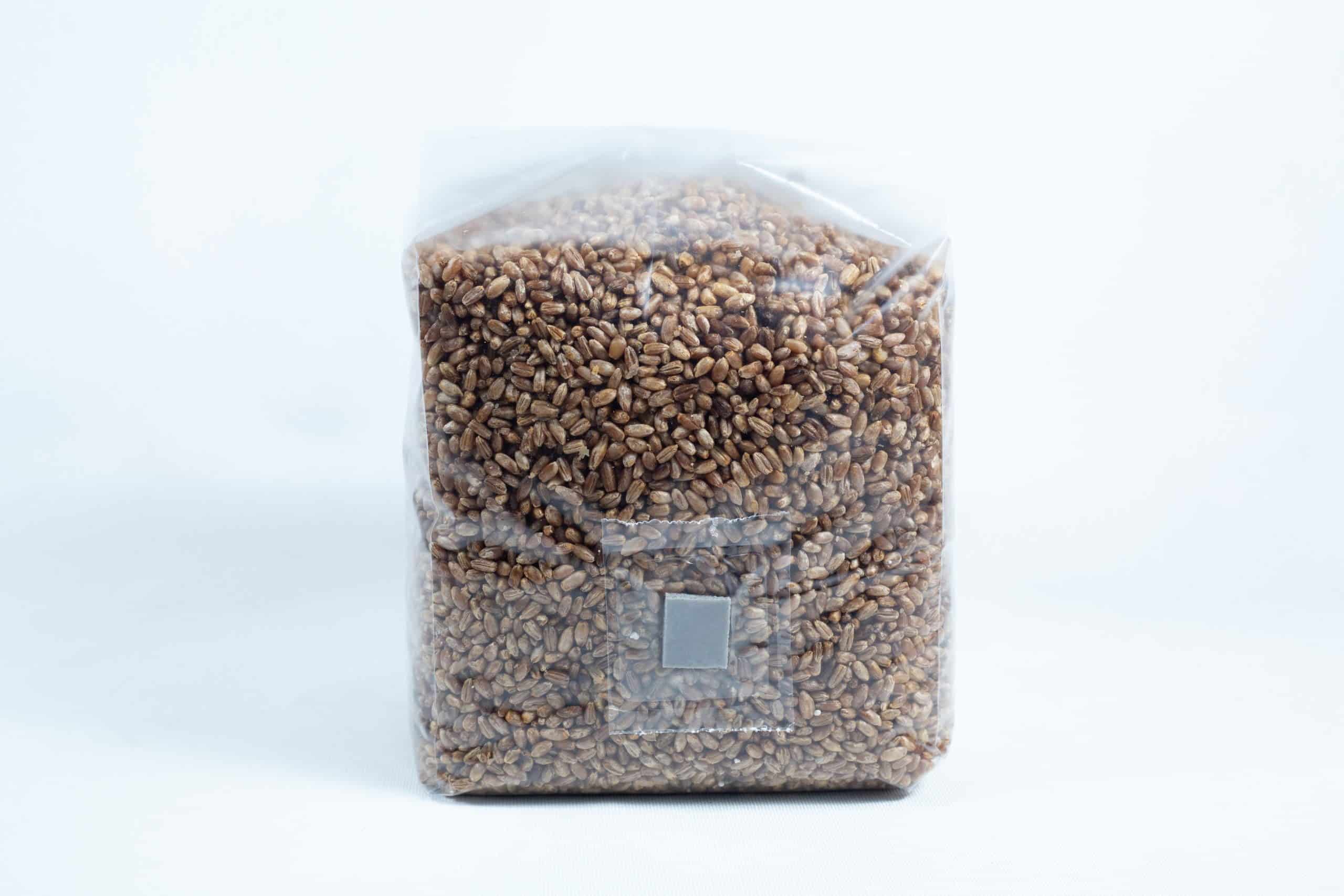Rye grain organic Pre sterilized for mushroom cultivation w/inj port and air-filter 6 A clear plastic bag containing rye grain organic pre-sterilised for mushroom cultivation with injection port and air filter, sealed and standing upright on a white background.