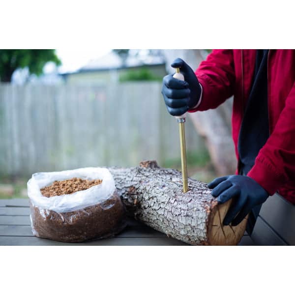 Person in black gloves inserts a tool into a log next to a bag of substrate on an outdoor table.