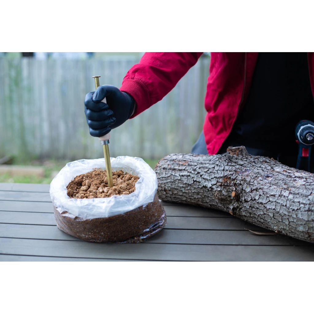 How to grow mushrooms on logs and select ideal trees in Australia? 6 Sawdust innoculation tool front view 1