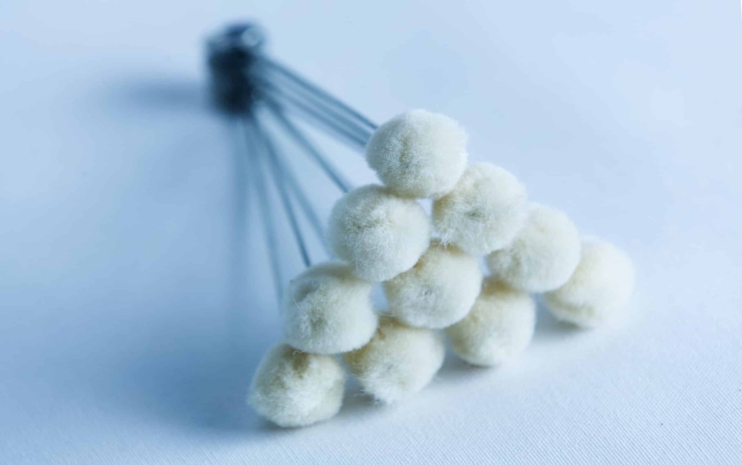 Mushroom Log Kit | Mushroom Inoculation Kit (Log Dowel) 6 A cluster of white cotton buds arranged in a triangular formation on a light surface.