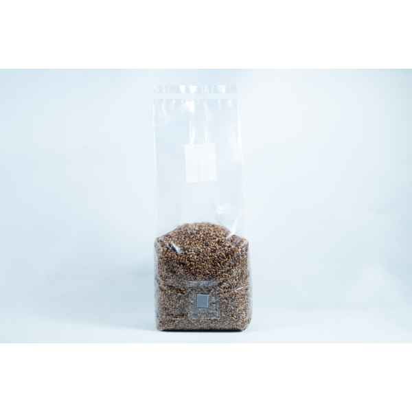 A clear plastic bag of rye grain organic pre-sterilised for mushroom cultivation with injection port and air filter against a plain white background.