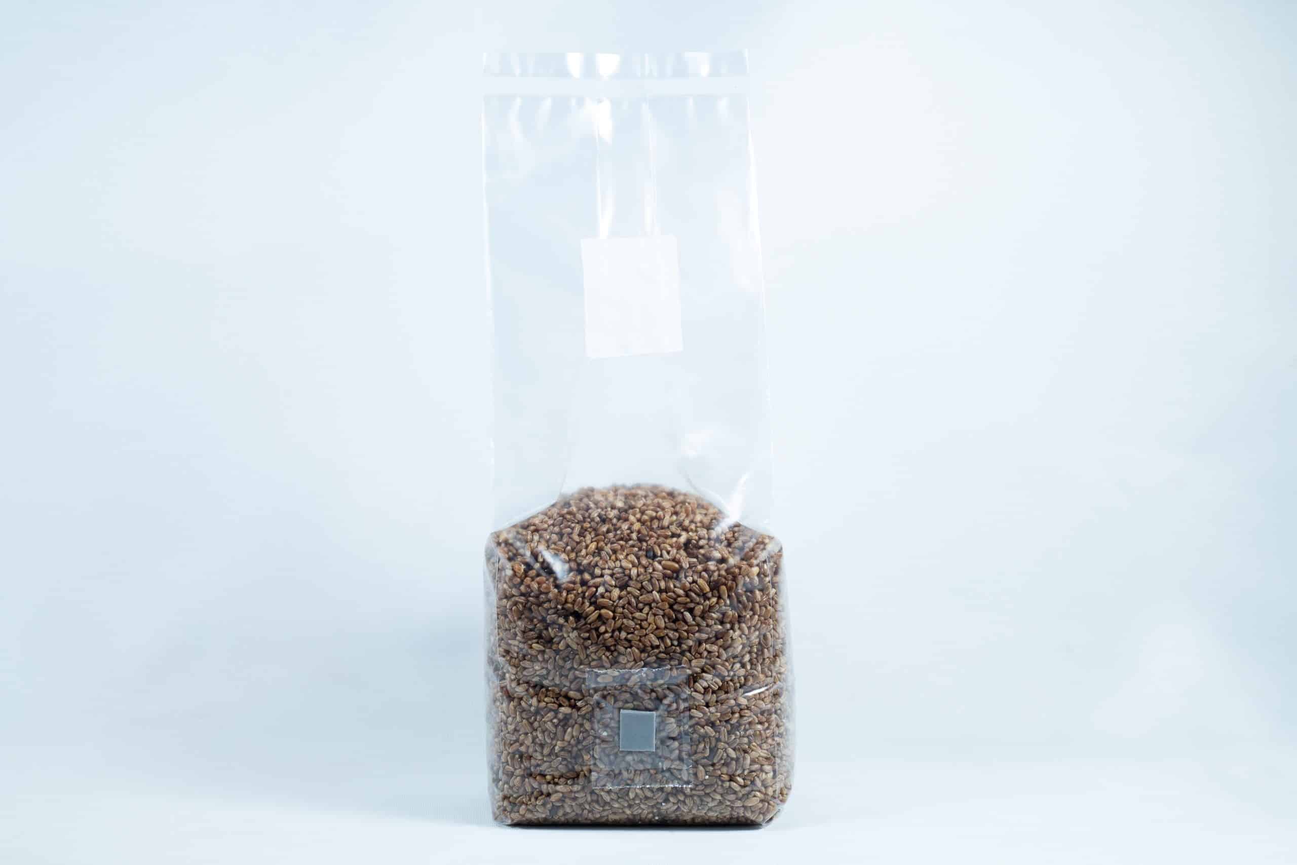 Rye grain organic Pre sterilized for mushroom cultivation w/inj port and air-filter 8 A clear plastic bag of rye grain organic pre-sterilised for mushroom cultivation with injection port and air filter against a plain white background.