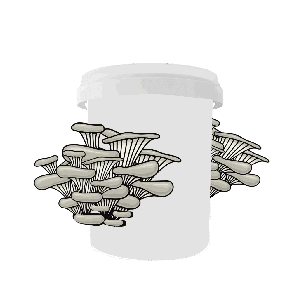 Complete Guide to Grow Mushrooms in Buckets 15 bucket with mushroom1 01