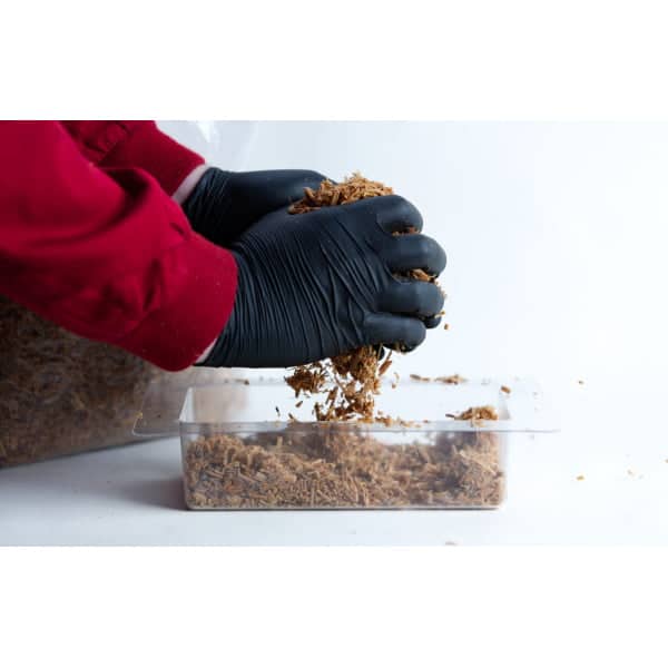 Hands in black gloves breaking up substrate over a clear plastic container with a white background.